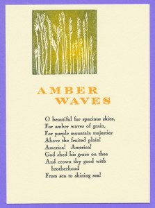 Amber Waves